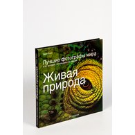 Medium_f0bc0ac0c33a3170