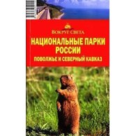 Medium_65d25178c967b936