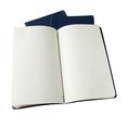 Блокнот Moleskine Set of 3 Squared Cahier Journals Large