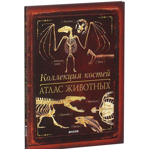 

Коллекция костей. Атлас животных
