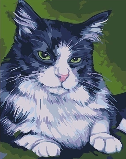 kartina na holste tomas 13 h 16 5 sm