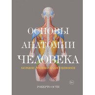 Основы анатомии человека