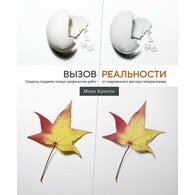 Вызов реальности