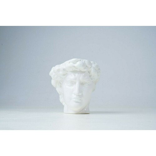 

Ваза Starbarrel голова Давида, белая